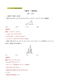 初中数学中考复习 专题06  三角形综合（解析版）