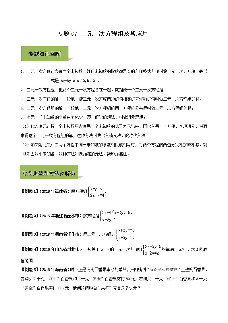 初中数学中考复习 专题07 二元一次方程组及其应用（原卷版）第1页