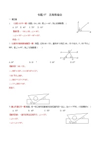 初中数学中考复习 专题07 三角形综合（解析版）