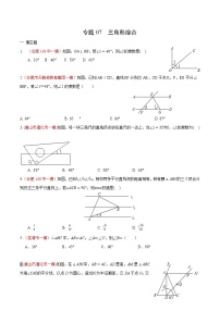 初中数学中考复习 专题07 三角形综合（原卷版）