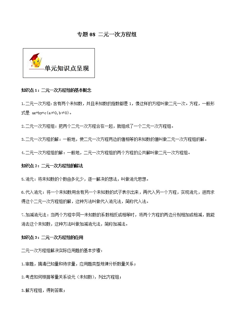 初中数学中考复习 专题08 二元一次方程组（原卷版）第1页