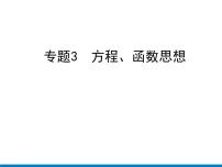 初中数学中考复习 专题3　方程、函数思想课件PPT