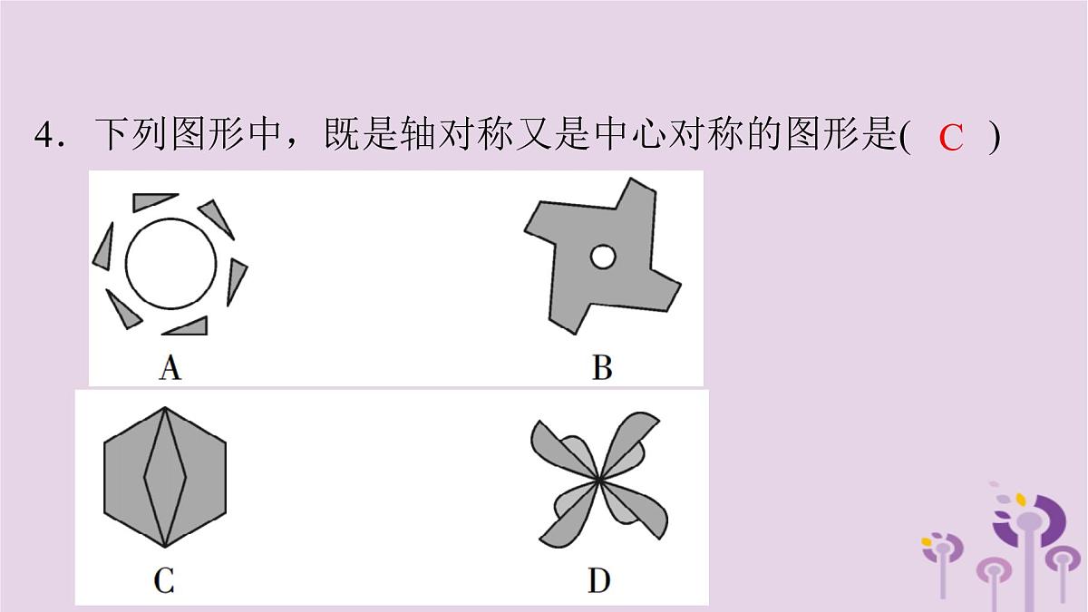 初中数学中考复习 中考数学突破复习天天测试29课件第4页