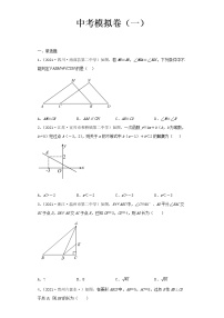 2022-2023 数学北师大版新中考精讲精练 中考模拟卷（一）