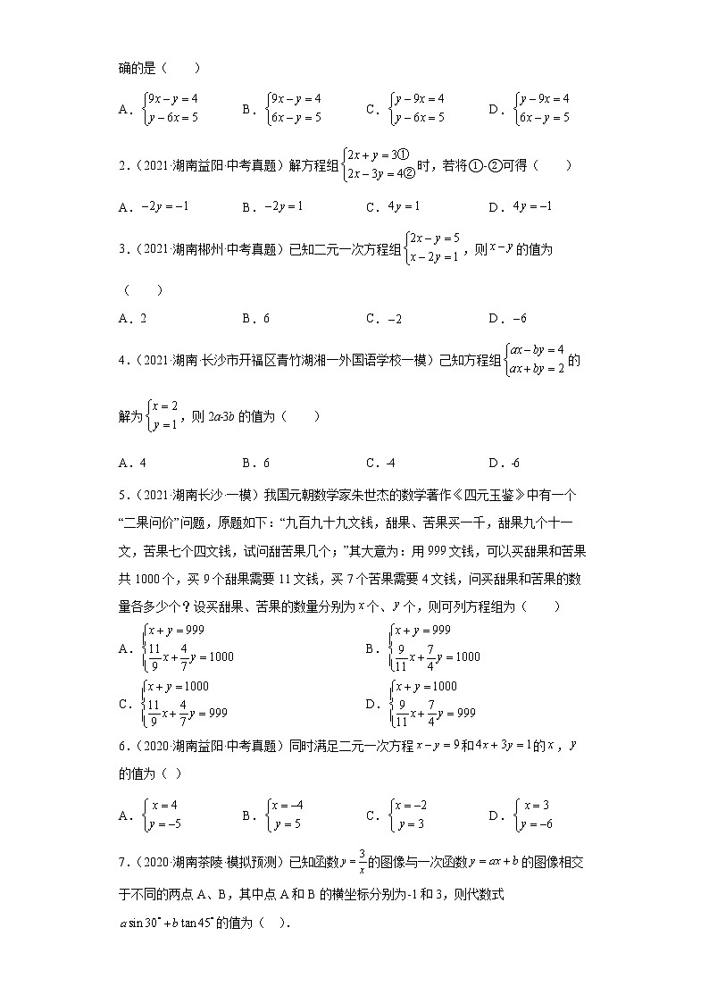  2022-2023 数学华师大版新中考精讲精练 考点06二元一次方程（原卷版）第2页
