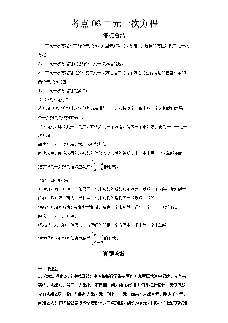  2022-2023 数学华师大版新中考精讲精练 考点06二元一次方程（解析版）第1页