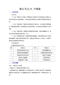 2023 物理新中考二轮复习热点透析 核心考点01 声现象