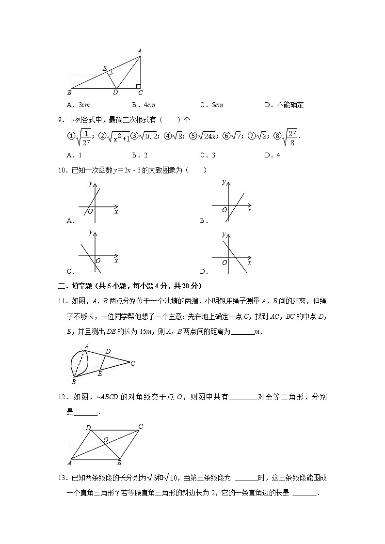 2023 青岛版数学八年级下册开学测试卷（一）（原卷版）第2页
