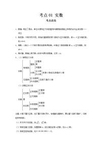 2022-2023 数学鲁教版新中考精讲精练 考点01 实数