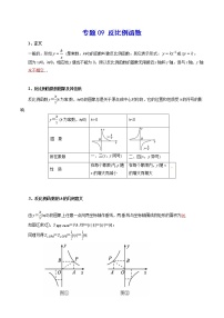 初中数学中考复习 专题09 反比例函数-2021年中考数学总复习知识点梳理（全国通用）