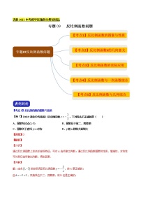 初中数学中考复习 专题09 反比例函数问题（解析版）