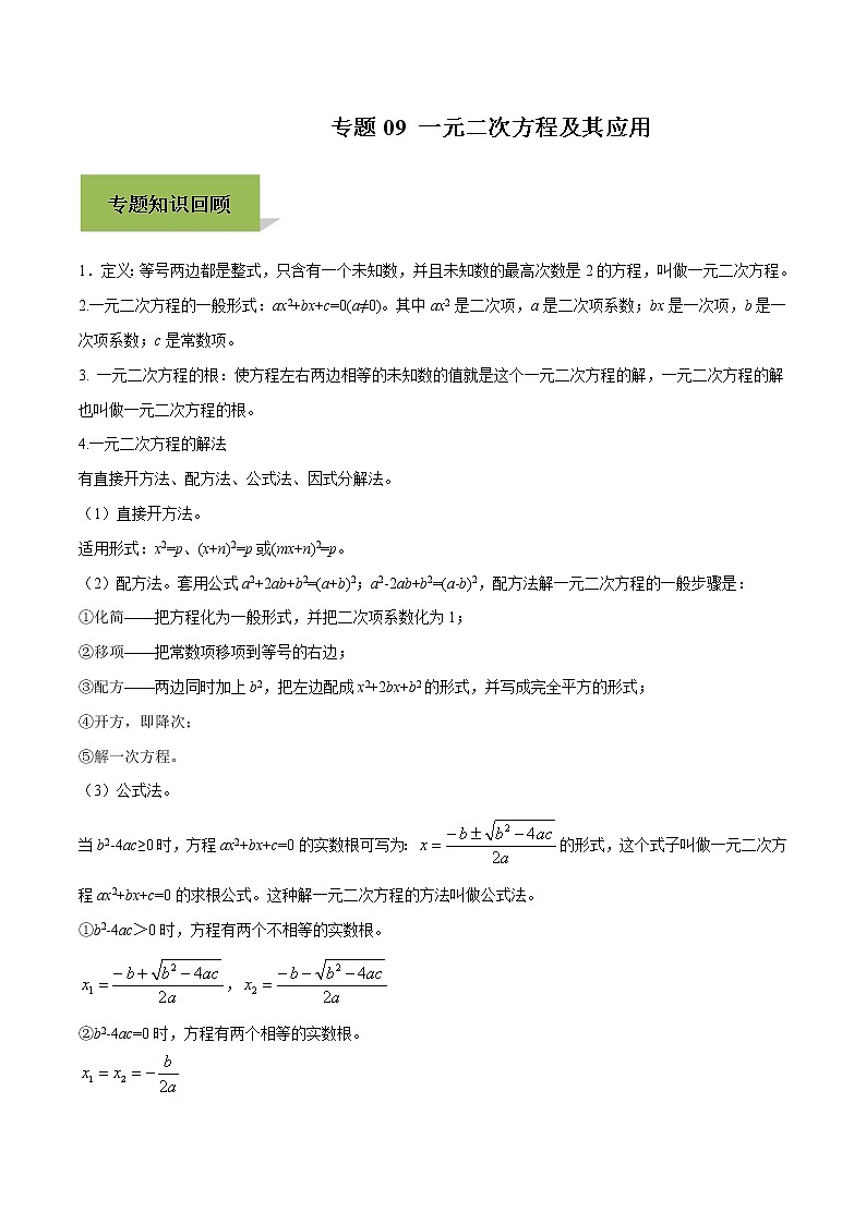 初中数学中考复习 专题09 一元二次方程及其应用（原卷版）01