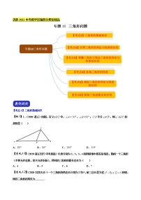 初中数学中考复习 专题10 三角形问题（原卷版）