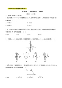 初中数学中考复习 专题11  二次函数综合（原卷版）