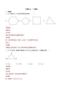 初中数学中考复习 专题12 三角形-三年（2020-2022）中考数学真题分项汇编（全国通用）（解析版）