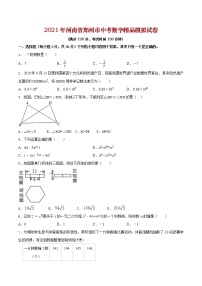 初中数学中考复习 专题13 (河南专用)（原卷版）-2021年31个地区中考数学精品模拟试卷