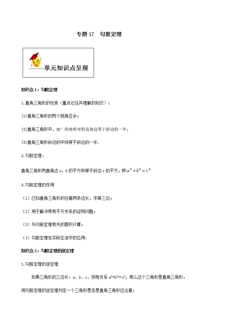 初中数学中考复习 专题17  勾股定理（原卷版）01