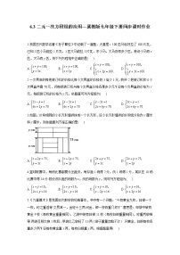 初中6.3  二元一次方程组的应用当堂达标检测题