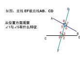 5.1.3同位角、内错角、同旁内角课件