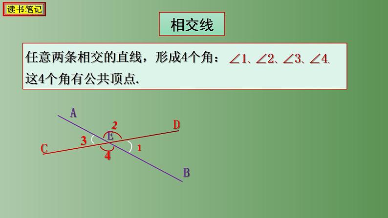 5.1.1+相交线课件05