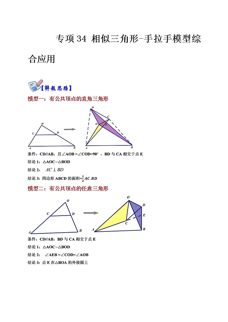 专项34 相似三角形-手拉手模型综合应用（原卷版）第1页