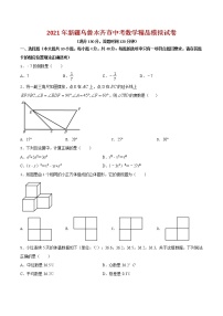 初中数学中考复习 专题29（新疆乌鲁木齐市专用）（原卷版）-2021年31个地区中考数学精品模拟试卷