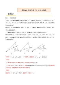 初中数学中考复习 专题41 几何问题（2）之综合问题【热点专题】（解析版）