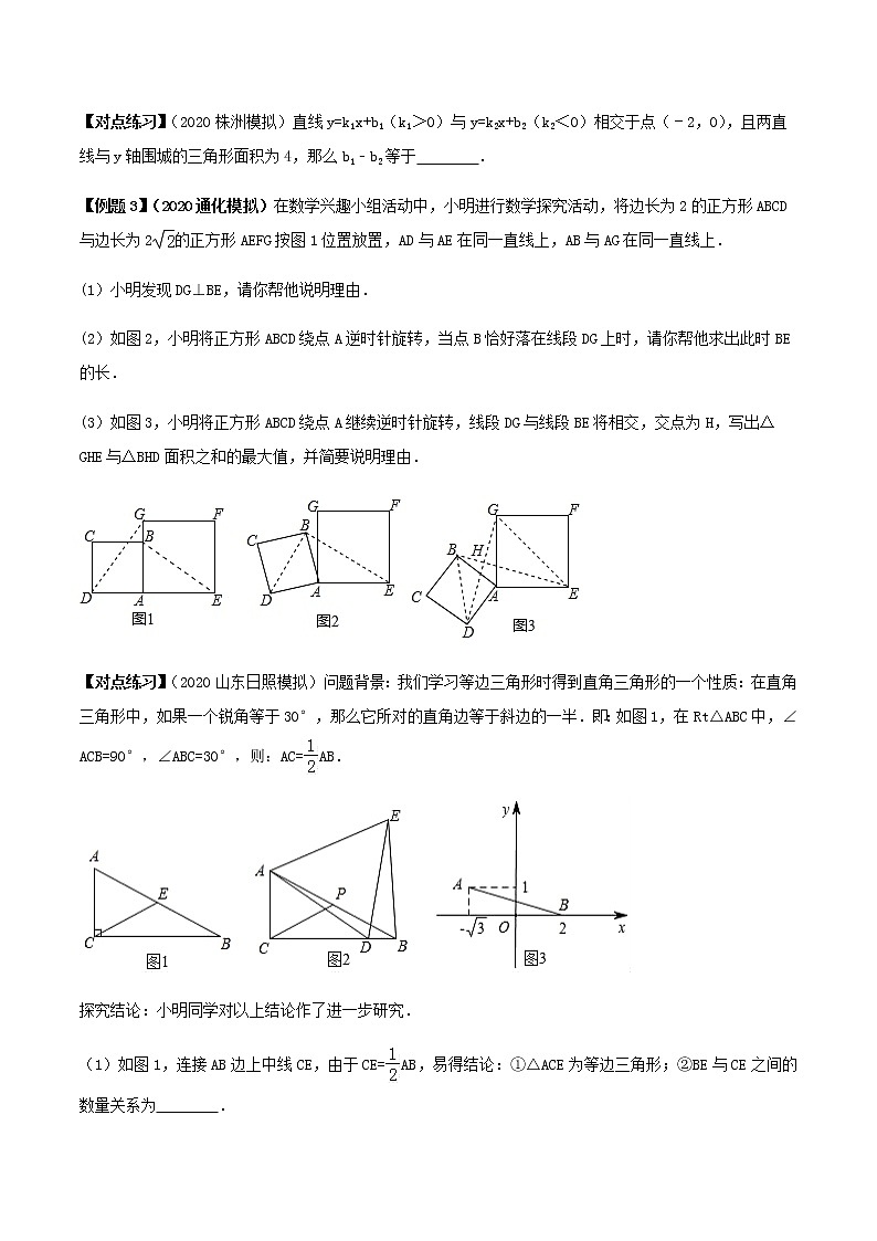 初中数学中考复习 专题48 中考数学数形结合思想（原卷版）第3页