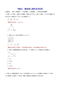 初中数学中考复习 专题九 解直角三角形及其应用(解析版)