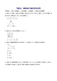 初中数学中考复习 专题九 解直角三角形及其应用(原卷版)