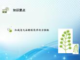 1.2.2 第1课时 加减消元法1 湘教版七下教学课件