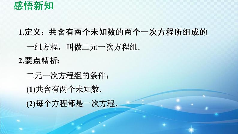 6.1.2 二元一次方程组 冀教版数学七年级下册导学课件第6页