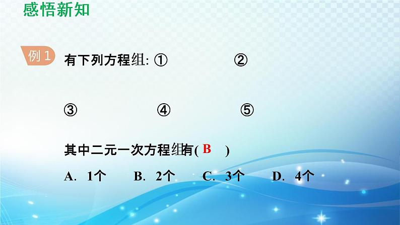 6.1.2 二元一次方程组 冀教版数学七年级下册导学课件第8页