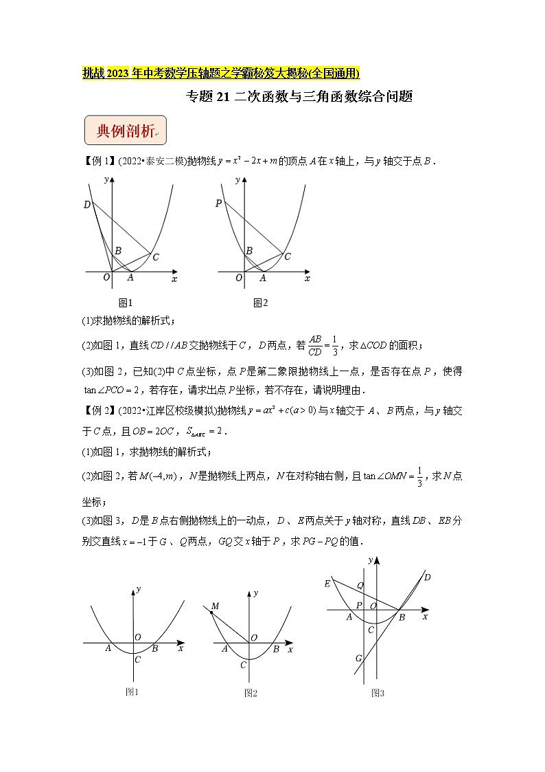 专题21二次函数与三角函数综合问题-挑战2023年中考数学压轴题之学霸秘笈大揭秘（学生版）第1页