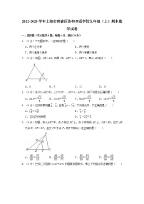 上海市青浦区协和双语学校2022-2023学年九年级上学期期末数学试卷(含答案)