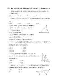 2022-2023学年山东省青岛实验初级中学八年级（上）期末数学试卷（含解析）