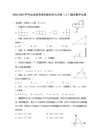 2022-2023学年山东省青岛市胶州市九年级（上）期末数学试卷（含解析）