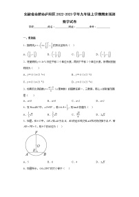 安徽省合肥市庐阳区2022-2023学年九年级上学期期末预测数学试卷(含答案)