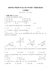 湖南师范大学附属中学 2022-2023 学年度第一学期八年级期末考试数学试卷