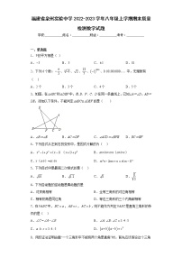 福建省泉州实验中学2022-2023学年八年级上学期期末质量检测数学试题(含答案)