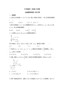 中考数学二轮复习专题《函数的性质》练习卷 (含答案)