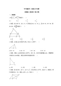 中考数学二轮复习专题《相似三角形》练习卷 (含答案)