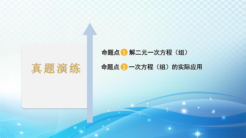 2023年河北省中考数学复习全方位第6讲 一次方程组及其应用 课件02