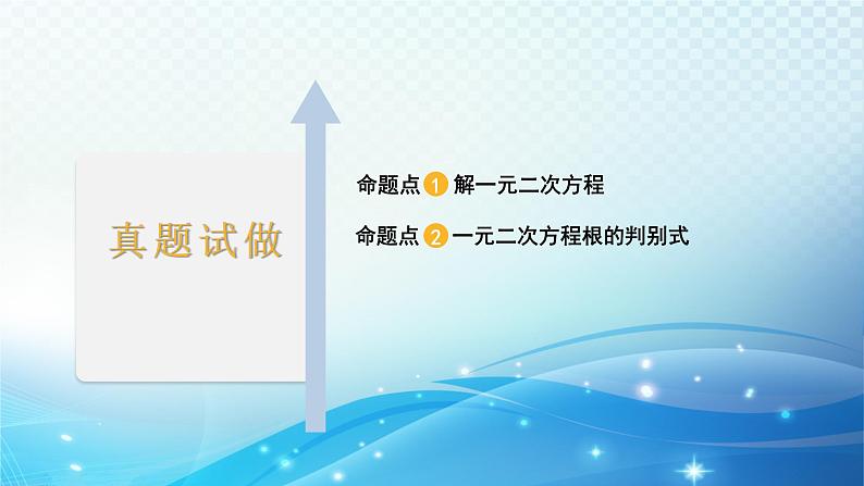 2023年河北省中考数学复习全方位第9讲 一元二次方程及其应用 课件02