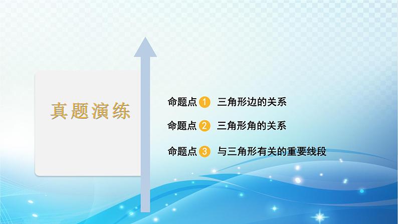 2023年河北省中考数学复习全方位第17讲 三角形的基本性质 课件02