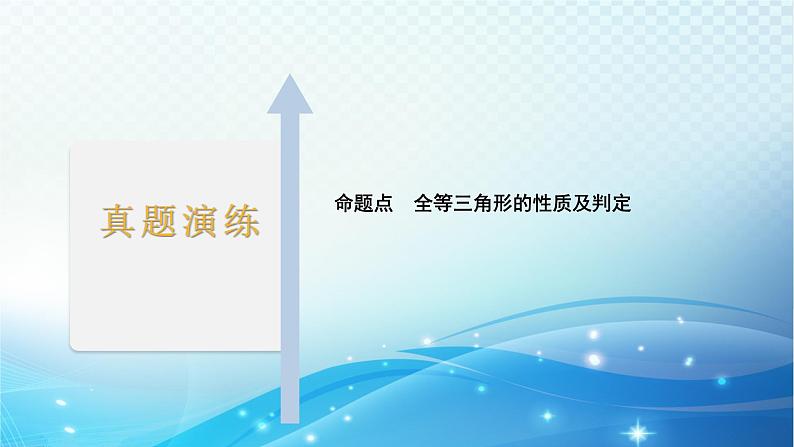 2023年河北省中考数学复习全方位第19讲 全等三角形 课件第2页