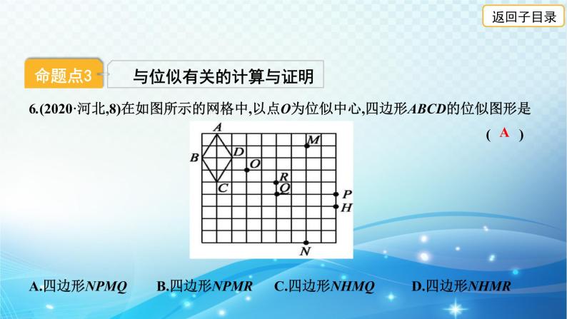 2023年河北省中考数学复习全方位第30讲 图形的相似与位似 课件07