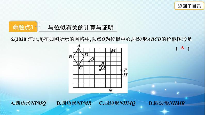 2023年河北省中考数学复习全方位第30讲 图形的相似与位似 课件07