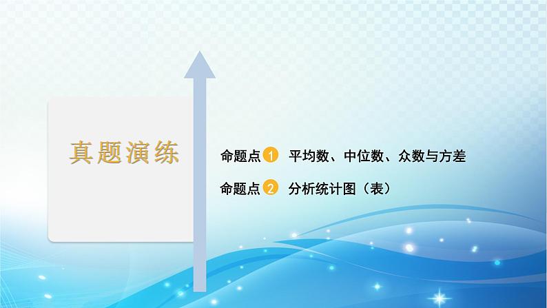 2023年河北省中考数学复习全方位第31讲 统计 课件02