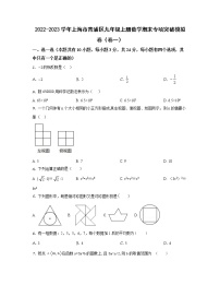 2022-2023学年上海市青浦区九年级上册数学期末专项突破模拟卷（卷一卷二）含解析